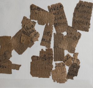 Image - Papyrus Fragments