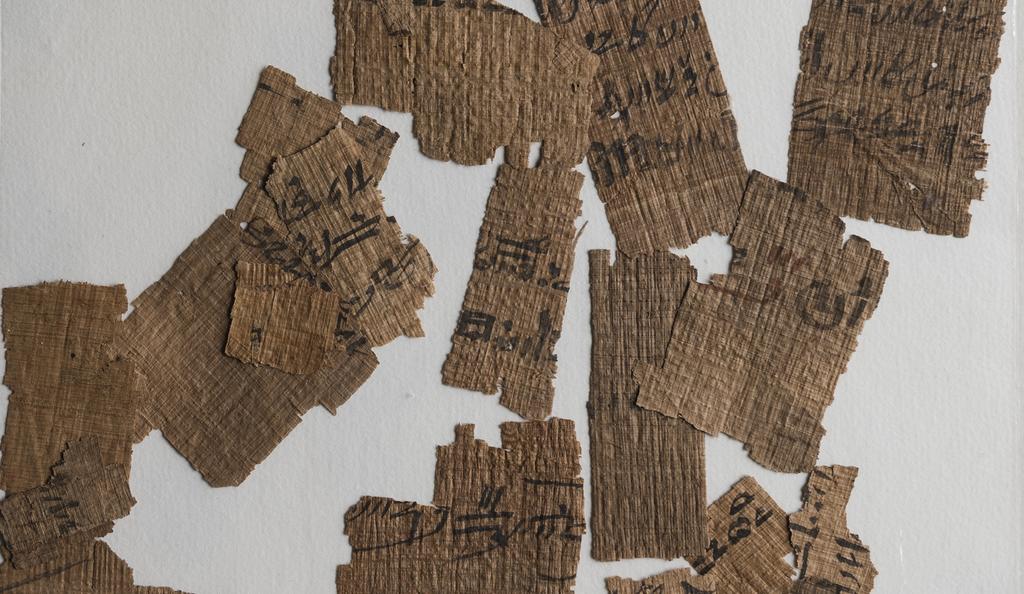 Image - Papyrus Fragments (zoomed in)